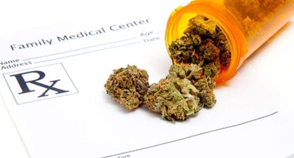 budtender skills
