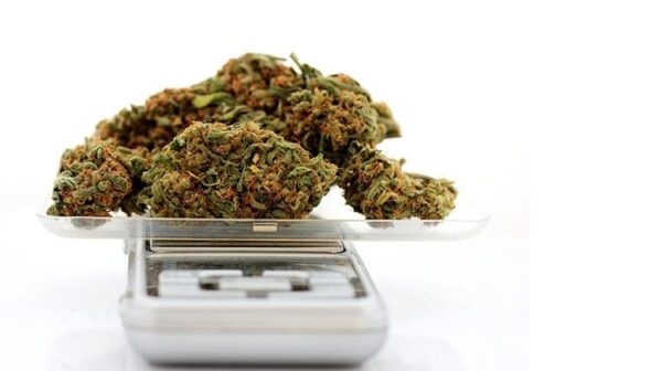 budtender training
