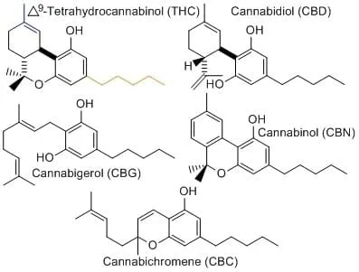 cannabinoids