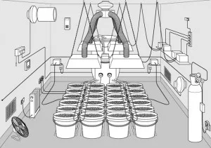 grow room