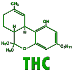 Introduction to Cannabis Chemistry