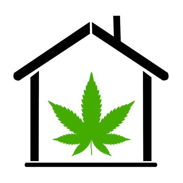 Indoor Cannabis Grow Rooms