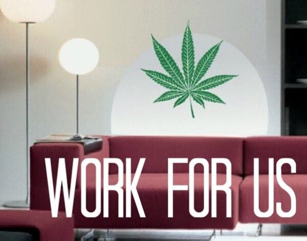 Work For Us