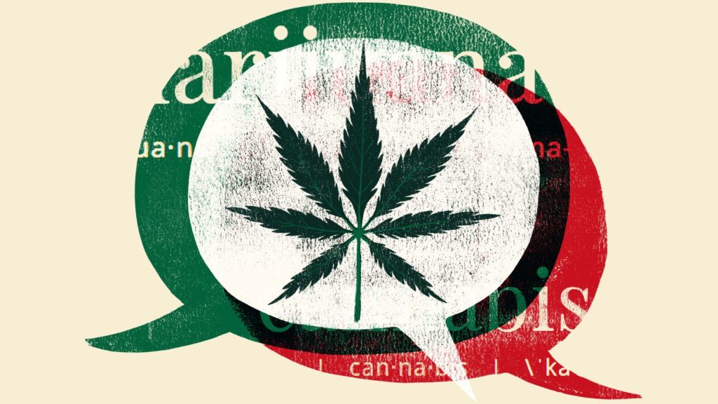 Hard-Won Cannabis Dispensary Leadership