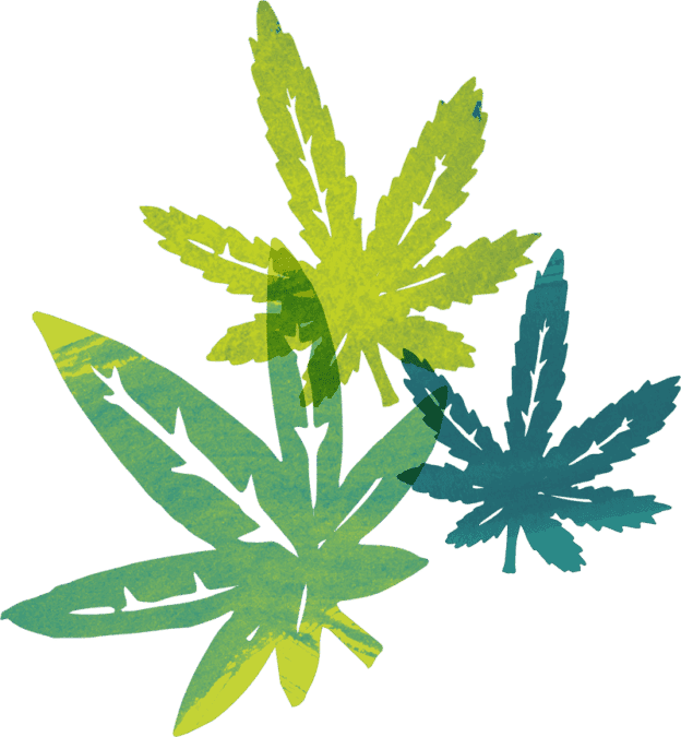 Cannabis Breeding