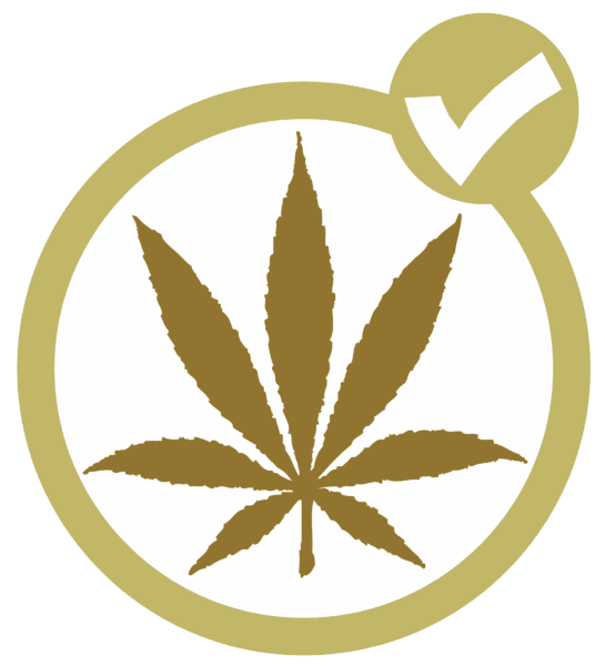 Ensuring Cannabis Workers’ Safety