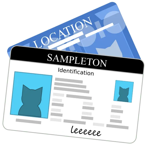 How to Determine Valid Identification