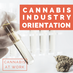 Making Cannabis Work Mean Something