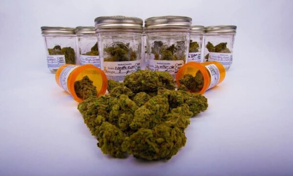 Successful Dispensary Onboarding