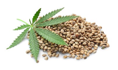 Cannabis Seeds