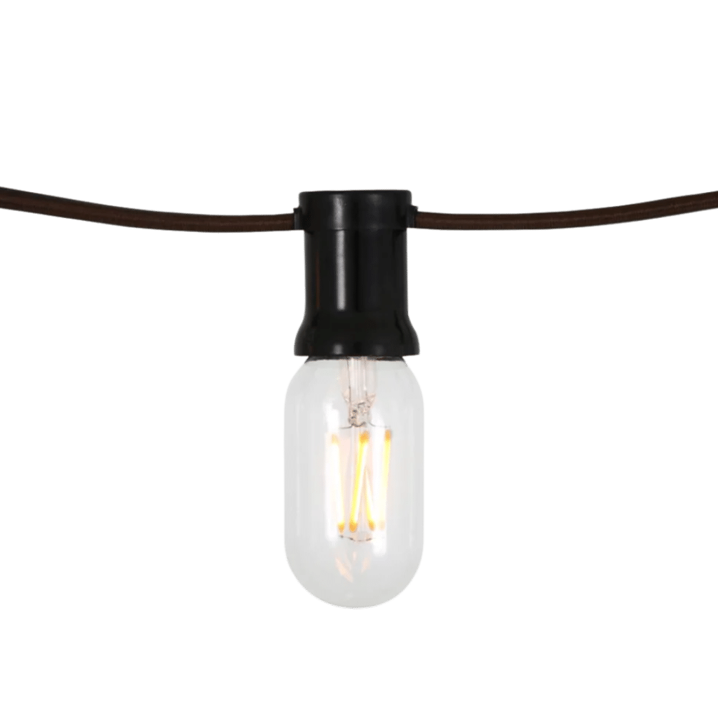 Festoon Lighting Green CulturED eLearning Solutions