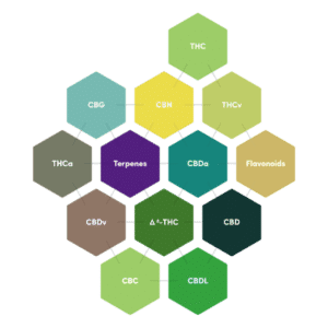 what is terpene in weed, terpenes commonly found in weed, terpenes in weed benefits, terpene effects chart & guide, terpene weed chart & effects, terpene what is it, terpene, terpenes, terpene limonene, terpene myrcene, terpene definition, terpenes and effects