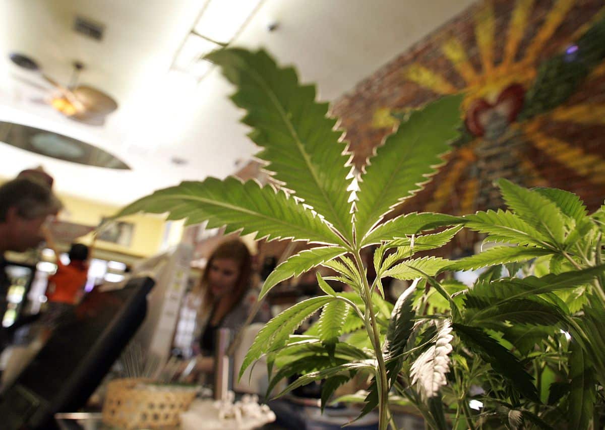 Learning Technology Governance