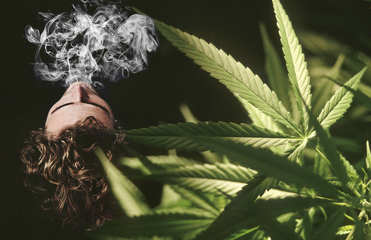 Cannabis Sensitization Protocol