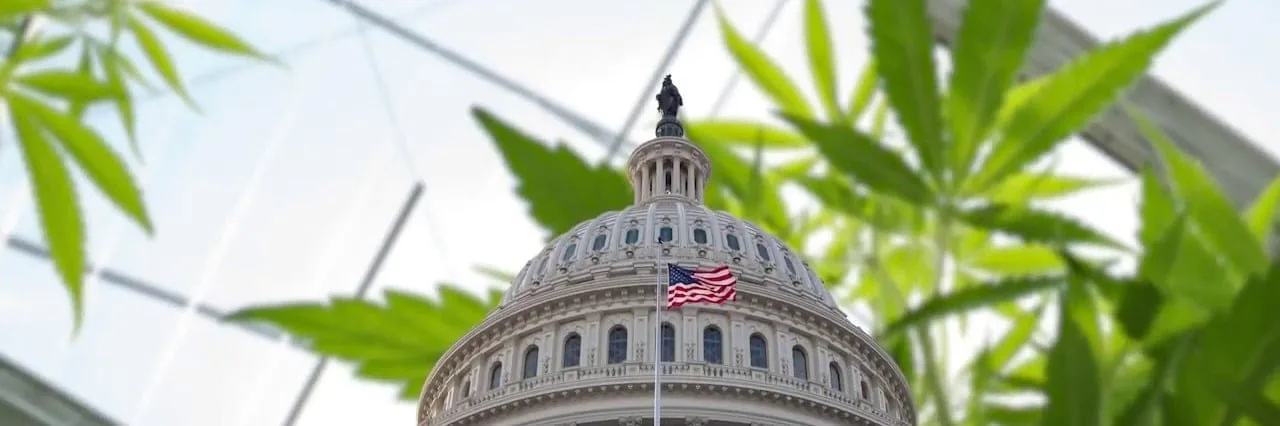 Cannabis Industry Certification (DC)