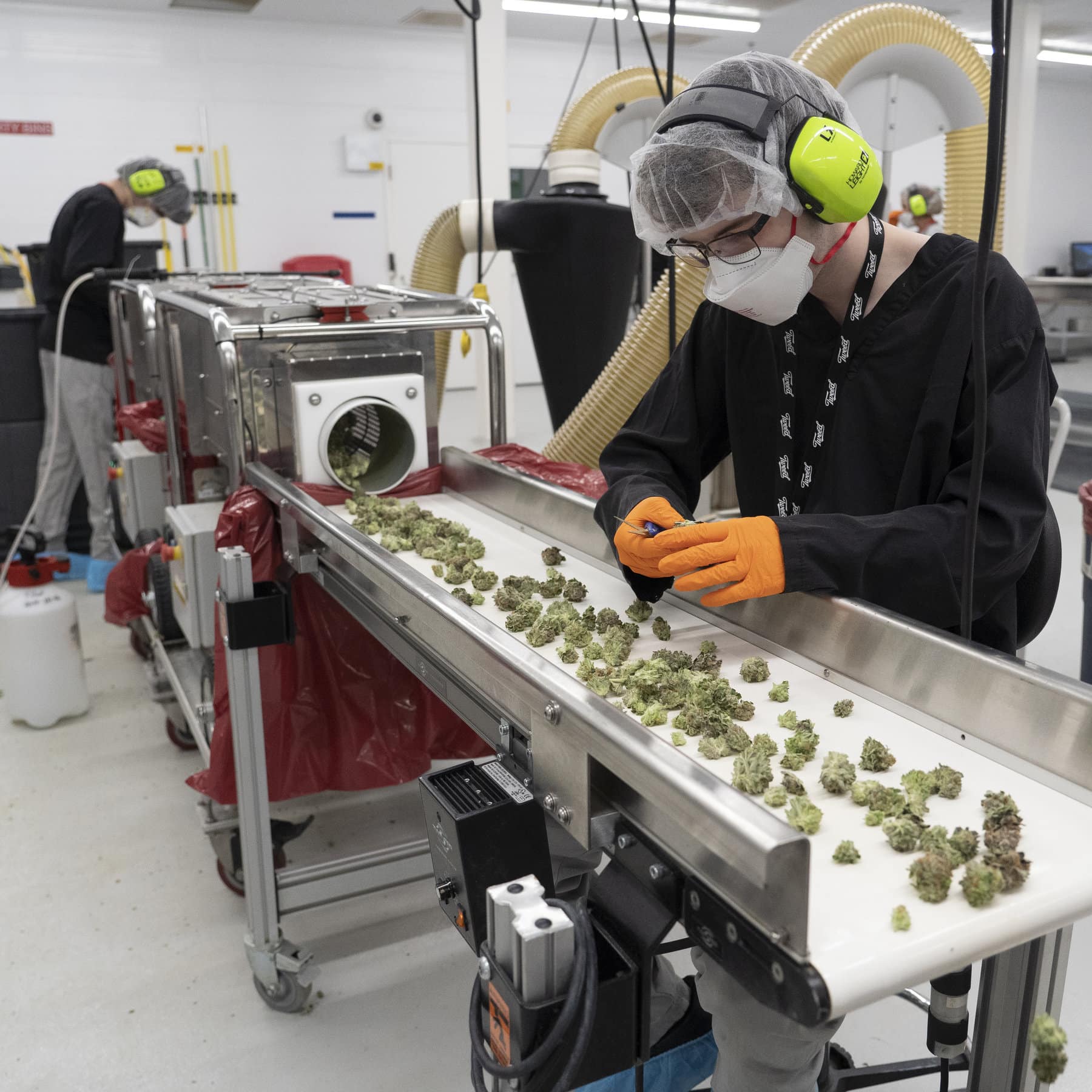 Cannabis Worker & Workplace Safety Program