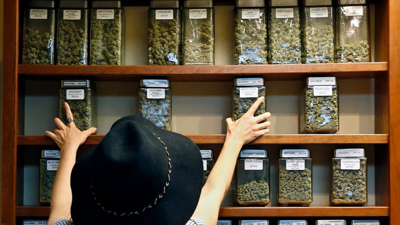 A customer browsing cannabis jars on a wooden shelf in a modern dispensary.