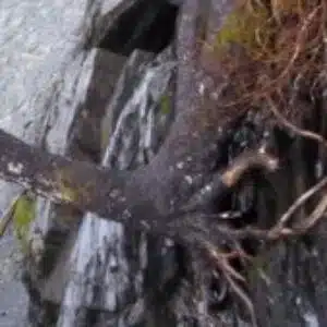 Profile photo of Kimberly