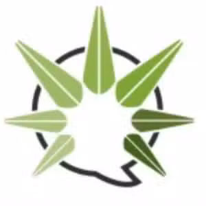 Profile photo of Cannabis
