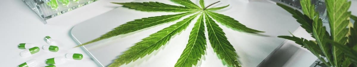 Product Manufacturer