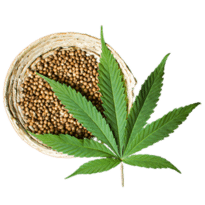 Group logo of Industrial Hemp
